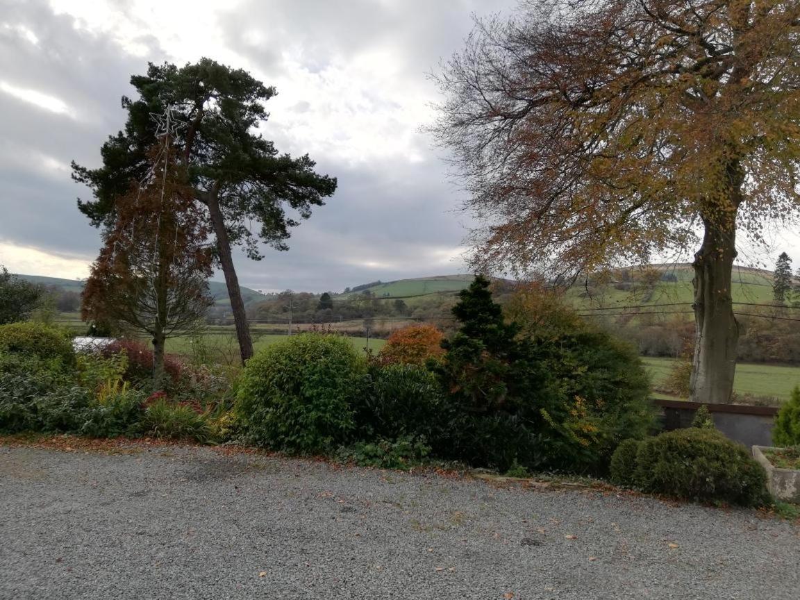 Lion Hotel Llanbister Exterior photo